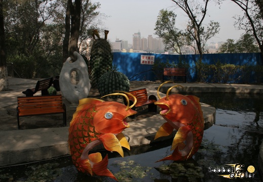 Urumqi (14)