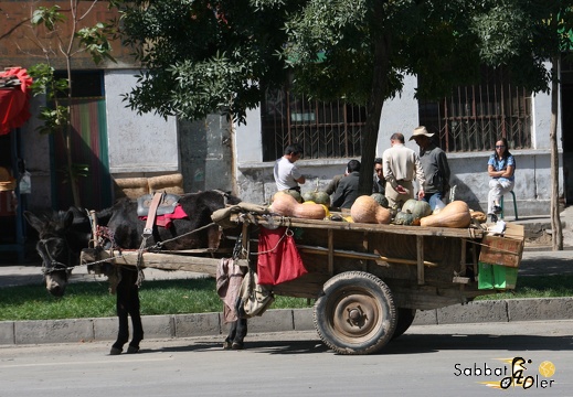 Urumqi Tian Chi Mittag Fukang (4)
