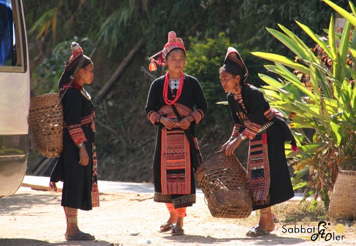 Muang Hua Pak Nam Noi (30)
