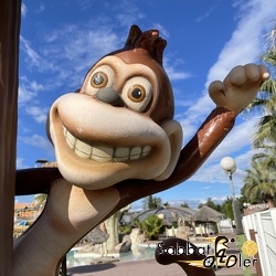 Sabbatjahre 2022/2024